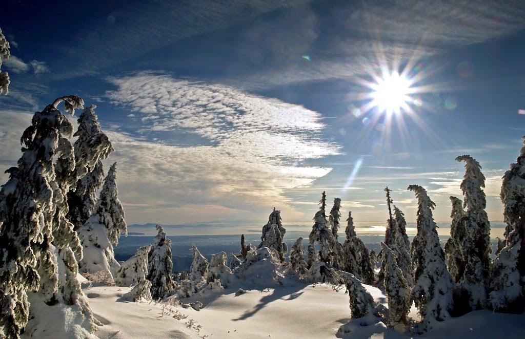 Natura FR „ U zagrljaju zime „